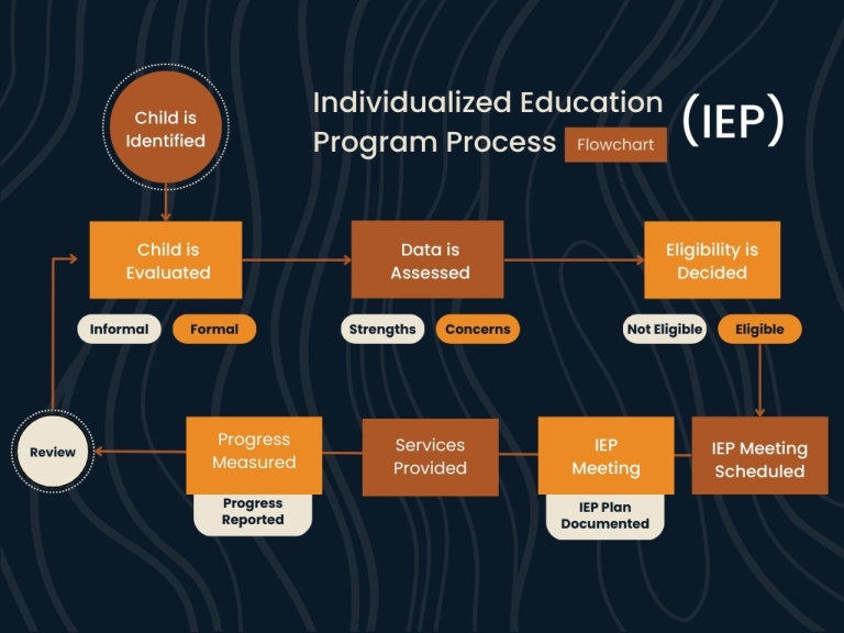 Flowchart of the IEP process from identification to review